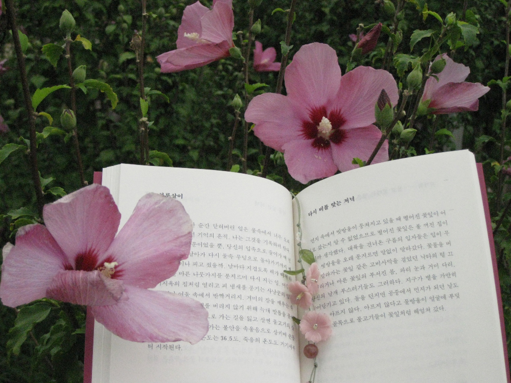 연록 이미지_2.jpg